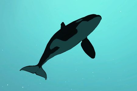 Killer Whale: Симулятор косатки