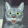 Игра · Сбежать от блогера: Runaway