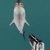 Игра · Охотник за акулами 2