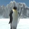 Игра · Крошка-пингвин